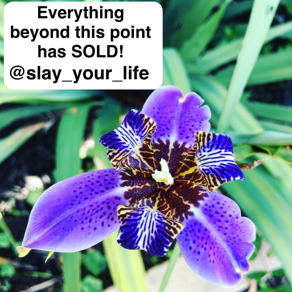 Everything beyond this point has sold!